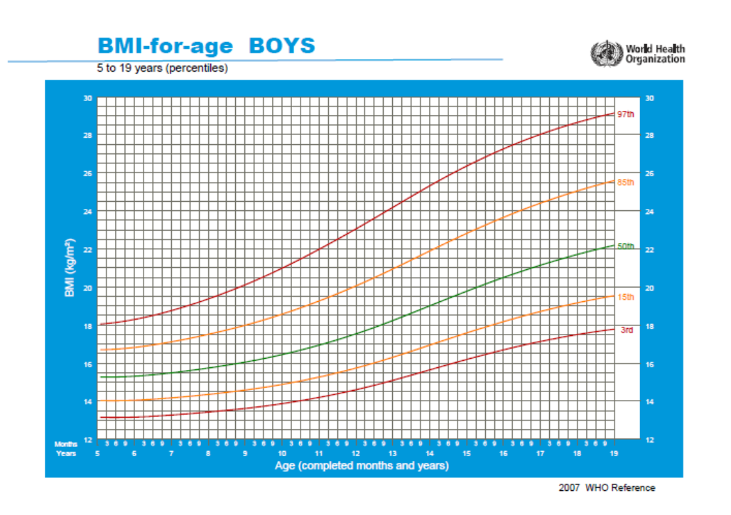 Fig. 1. Body mass index (BMI) (5-19 years) – boys (Source: WHO, 2007a) 
